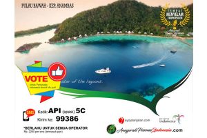 Anambas Kampanyekan Pulau Bawah Menangi API 2017