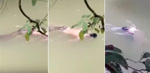 Dicari Tiga Hari, Wanita yang Lompat ke Sungai Mengambang