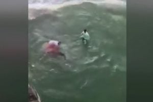 Niatnya Menolong Hiu yang Terjerat, Eh Malah Di-hap