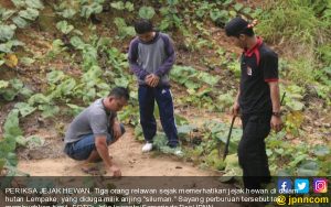 Hiii, Ada Anjing Berkepala Manusia Berkeliaran