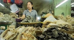 Harga Garam Melonjak 100 Persen, Ikan Asin Ikut Meroket