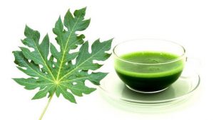 6 Khasiat Minum Jus Daun Pepaya