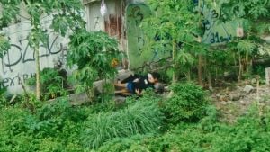 Dua Hari Setelah Jadian, Pacar Bejat Perkosa Mahasiswi di Kebun