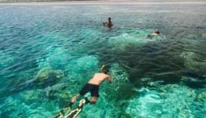 Buka Akses Wisata Wakatobi, PDTI Siap Kembangkan Pesawat Amfibi