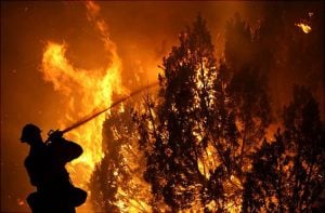 Pembakaran Hutan Lindung di Sidrap Marak