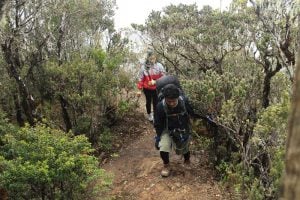 Tim SAR Temukan Bukti Tiga Pendaki Hilang di Gunung Sinaji