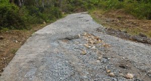 HUT RI, Banyak Daerah Belum Nikmati Aspal di Lutim dan Lutra