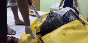 Mulut Anaknya Dilakban, Tangan Diikat Lalu Dihabisi Secara Sadis