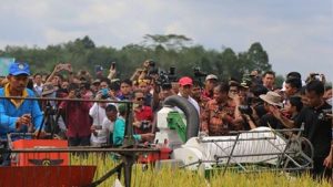 Kado Tiga Tahun JKW-JK, Kementan Ekspor Beras 25 Ton ke Malaysia