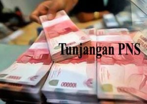 69 Ribu Guru Menantikan Kucuran Tunjangan, Usai Lulus Pendidikan Profesi