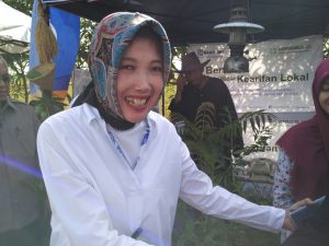 Varietas Ciherang dan Mekonga Mulai Rentan Terhadap Hama