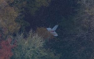 Pesawat dan Helikopter Tabrakan, 4 Orang Tewas
