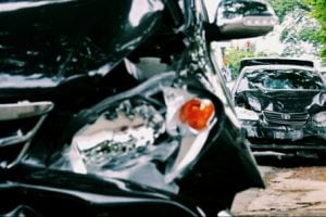 Wardi Nyaris Mati Gara-gara Seruduk Tembok