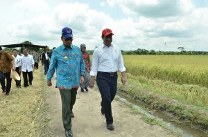 Mentan Deklarasikan Swasembada Komoditas Pangan di Lampung
