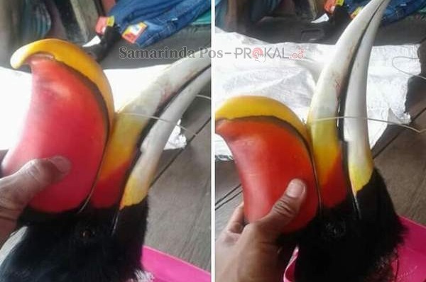 Warga Murka Satwa Langka Diobral Di Facebook Fajar