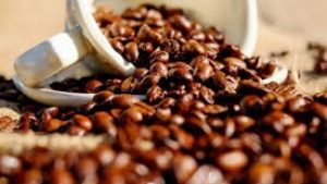 Persatuan Wartawan Indonesia Promosi Kopi di Korsel