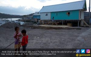 Di Daerah Ini Kambing Tidak Makan Rumput, Tapi Kertas, Plastik, Uang Hingga SK