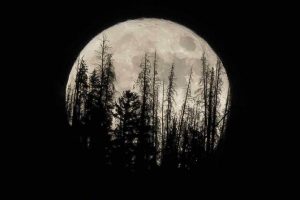 Lapan Bantah Fenomena Supermoon Dapat Sebabkan Bencana