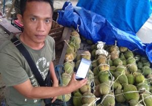 Laris Manis, Pebisnis Durian di Palopo Jajal Pasar Online