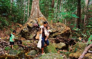 Bupati Dibui KPK, Aktivis Khawatir Hutan Terancam