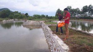 Nikmati Hari Libur, Bupati Luwu dan Keluarga Pilih ke Empang