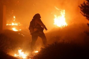 Wow, 1.400 Mobil Terbakar di Liverpool, 80 Kuda Dievakuasi