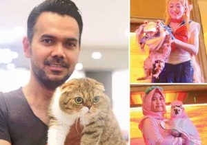 Kucing-kucing Didandani bak Superhero hingga Princess