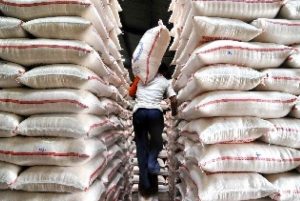 Rencana Impor Beras 1 Juta Ton, Begini Respons Mentan