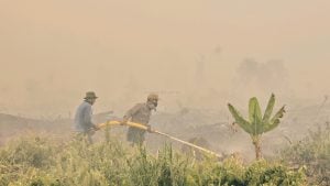 Api Terlalu Besar, Pemkab Langsung Minta Tolong