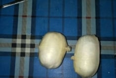 Sabu 150 Gram ini Disembunyikan dalam Pantat