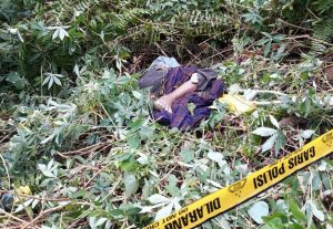 Tiga Hari Menghilang, Charles Ditemukan Tewas di Kebun Sawit