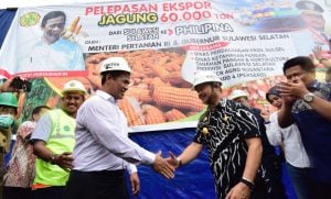 Ekspor Jagung Sulsel ke Filipina Cetak Sejarah Baru