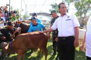 Setop Impor Sapi dengan Beternak Cerdas ala Mentan