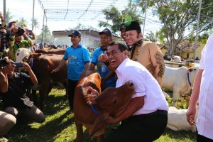Mentan : Indonesia Kini Sudah Swasembada Protein