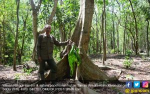 Jawa Timur Masih Butuhkan Polisi Hutan