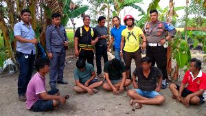Gerebek Pesta Sabung Ayam, Enam Tersangka Diamankan Polres Pinrang