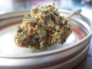 Ganja Palsu Campur Racun Tikus, 2 Mati, Puluhan orang Nangis Darah