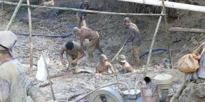 Dampak Merkuri di Buru Bisa Lebih Parah dari Teluk Minamata Jepang