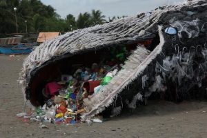 Telan 29 Kg Sampah Plastik, Paus Sperma Tewas Mengenaskan