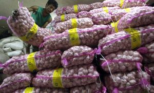 Kementan Pastikan Pasokan Bawang Putih Stabil