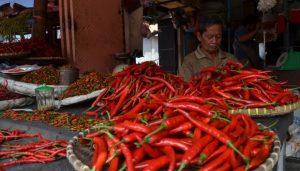 Minim Pasokan, Harga Cabai Makin Pedas di Pasaran