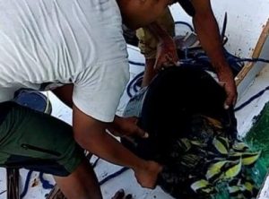 Lepas Ikan Hias Nelayan, Balai TNTBR Selayar Dikecam