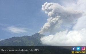 Gunung Merapi Meletus Lagi, PVMBG Tetap Menetapkan Status Normal