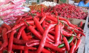 Jelang Ramadan, Cabai Besar Capai Rp50 per Kilogram di Mamuju