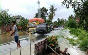 Ribuan Sawah di Bone Terancam Puso, Ini Penyebabnya…