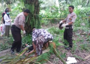 Kakek di Masamba Ditemukan Tak Bernyawa di Tengah Kebun Kelapa Sawit
