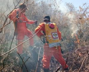 23 Hektare Hutan Lindung Kawasan Barru-Parepare Terbakar