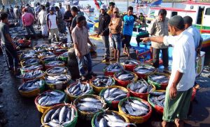 Produksi Ikan Lutim Tinggi, Komsumsi Masyarakatnya Malah Rendah