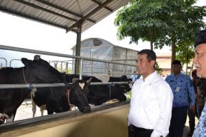 Terkumpul Rp10 M, Mentan Sumbangkan Gaji 1 Tahun untuk Gempa NTB