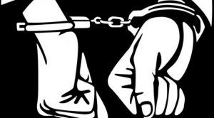Polres Enrekang Tangkap Tiga Pencuri Ayam Impor